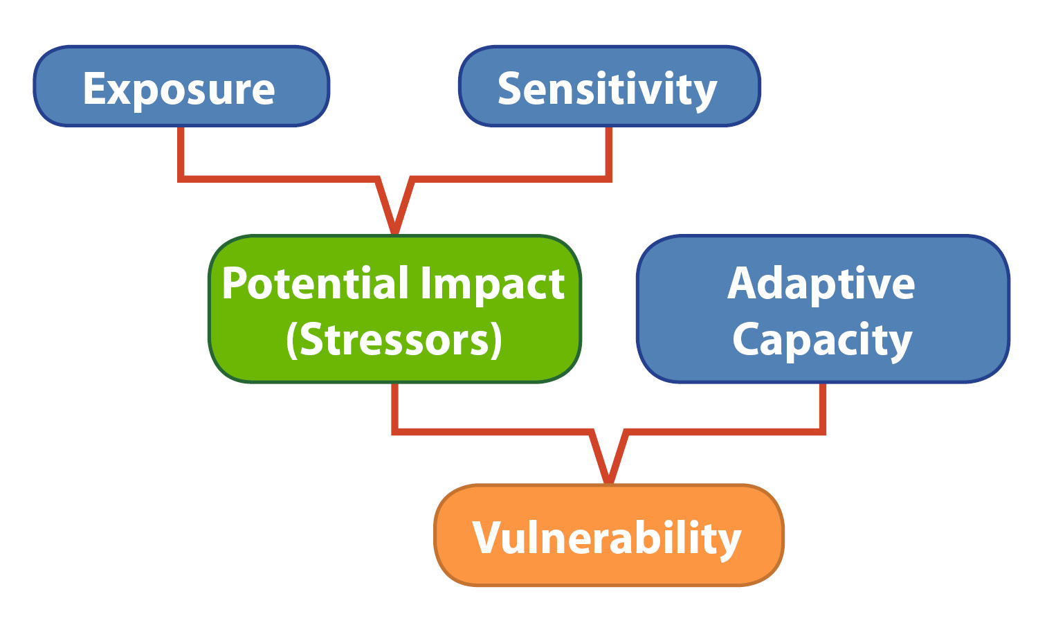 A flow chart showing the relationship between exposure, sensitivity, potential impact (stressors), adaptive capacity and vulnerability.