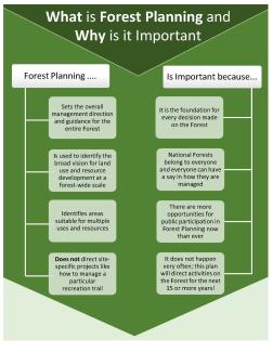 Forest Planing - Why and What - Infographic.jpg Forest Planing - Why and What - Infographic