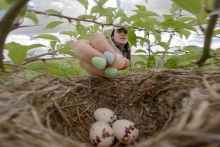 An employee carefully places a bird's egg in a nest.