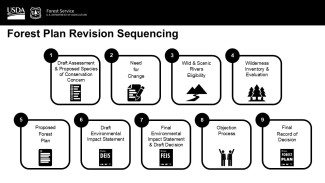 Forest Plan Revision Timeline Graphic