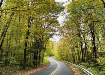 A paved two-lane road lined with tall trees.