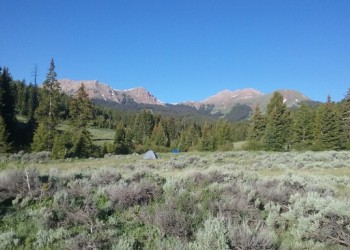 Trees and sagebrush with bald mountains in the background.