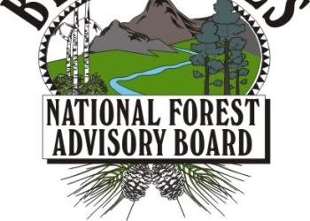 NFAB Forest Logo