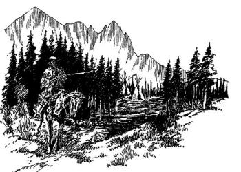 Bridger-Teton Forest Plan-Vintage