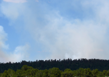 White smoke rises from behind a forest area.