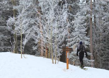 a cross-country skier on a snow-covered hillside skis past a wooden trail marker post towards a forested area of frost and snow-covered trees