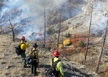 A photo of three firefighters standing on a hill overlooking a landscape area, the five trees in view don't have needles or leaves. Light smoke rises from the ground.