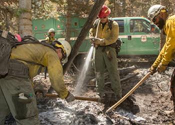 A photo of three firefighters working a hot ash spot on the ground in the forest. One firefighter is spraying water from a hose. A green fire truck is behind them.