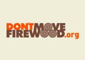 Don't Move Firewood logo