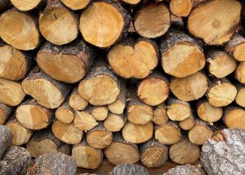 Firewood