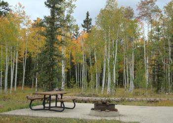 D2 Duck Creek Campground