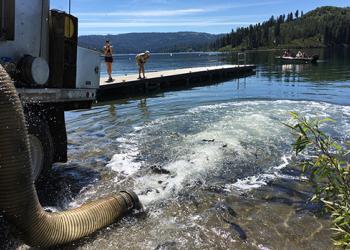 card fish stocking