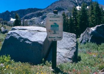 card mokelumne