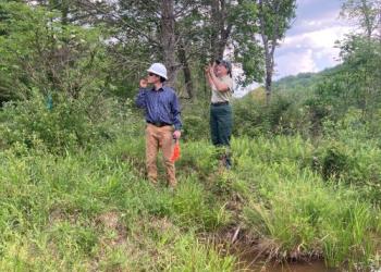 Employees at the Wetlands