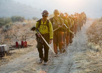 CARD_Firefighters walking in line on road-500x333px