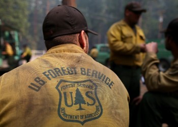 INTRO PAGE PHOTO Forest Service Fire Shirt with Logo