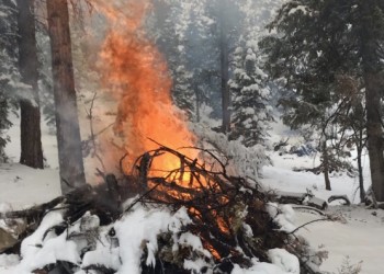 PRESCRIDE FIRE PAGE Burning Pile