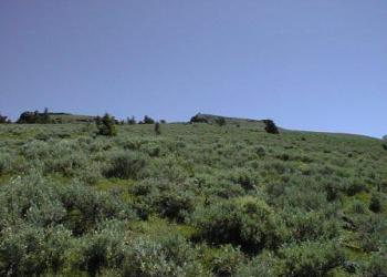 Monument Rock Wilderness High Country