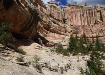Dark Canyon Wilderness