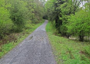 Outdoor Safety: Other Hazards - gravel road