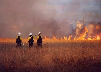 Silver Anniversary: Timeline - 2001 Hotshots