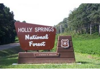 Holly Springs - National Forest Sign