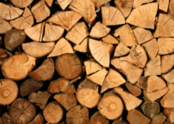 Forest Product Card