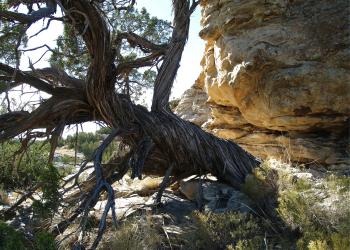 rocks on the Comanche National Grasslands