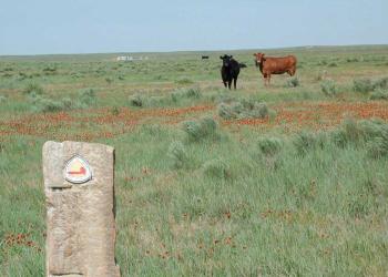 Santa Fe Historic Trail Marker