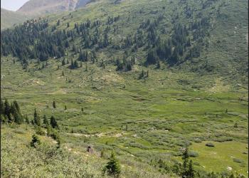 View from Mt. Massive Wilderness Area