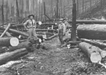 "Photo of FS staff among the burned trees in 1910, #99-00661."
