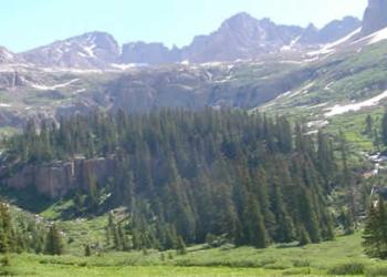 "High Country Fen, San Juan National Forest."