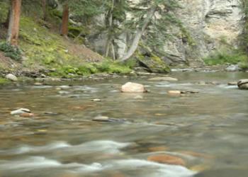 "Rio Grande Upper Canyon, Rio Grande National Forest.jpg"