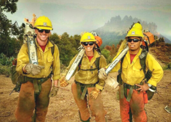 Fire Hire Card