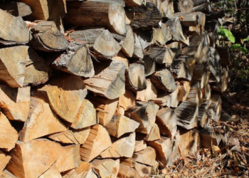 Fuelwood Card Image