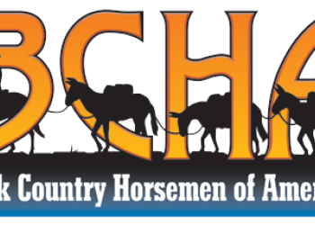 BCHA logo