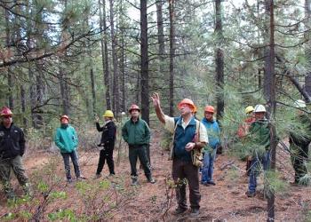 Collaborative meeting in forest