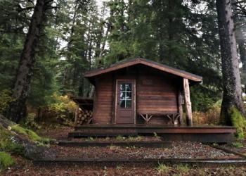 Cabin Strategy Tongass Card
