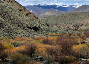 JIM MCCLURE - JERRY PEAK WILDERNESS