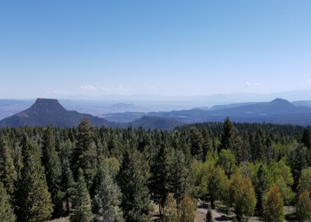 landscape image with a heavily evergreen forested area at the foreground and desert mesa and mountain range in the background under a blue sky