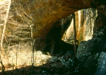 Bell Smith Springs Natural Bridge