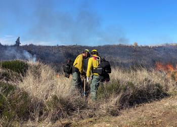 Firefighters on dunes prescribed burn