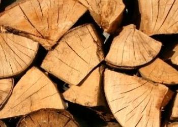 Firewood stacked