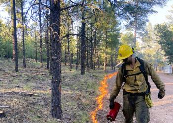 A fireman is shown conducting firing operations along the Valentine Fire perimeter lines.