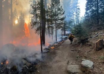 Firefighters work on control lines during burning operations on the Horton Fire
