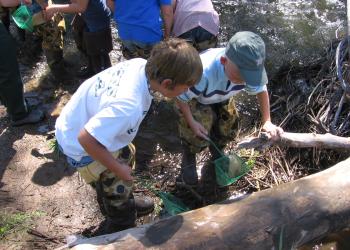 Diamond For Youth Forest Students Looking at Specimans