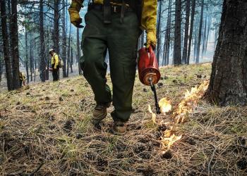 UWC Firefighting Opportunties Card Thumbnail