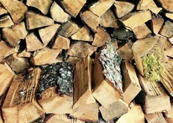 Firewood