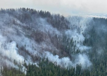 Smoke along the mountain slope and trees all around.