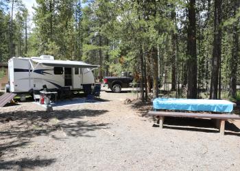 A photo of a campsite in the forest with a trailer and a picnic table.